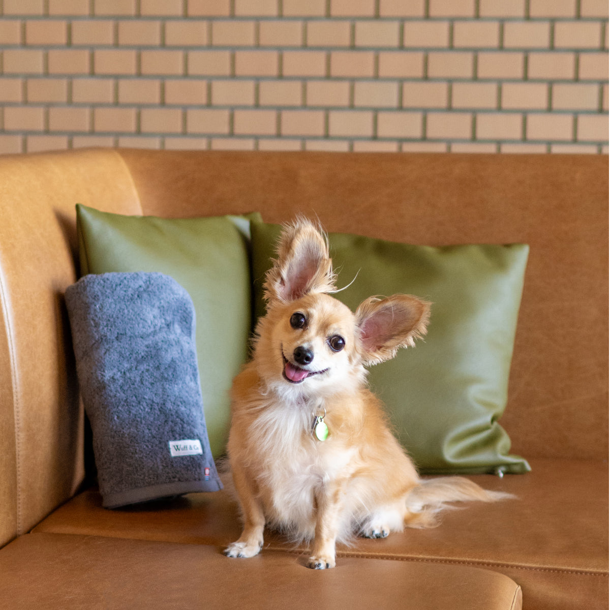 Dog Towel by Wuff&Co