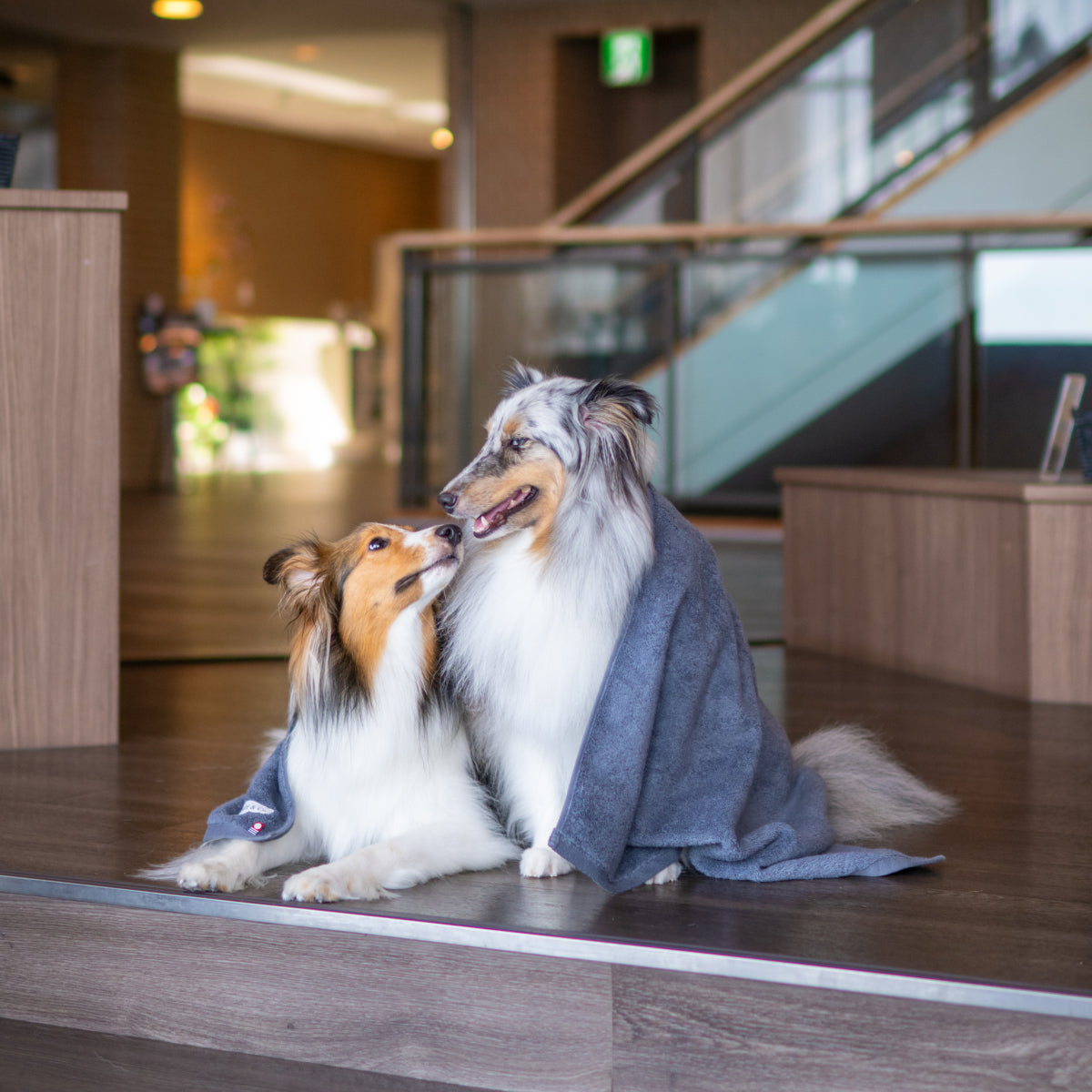 Dog Towel by Wuff&Co