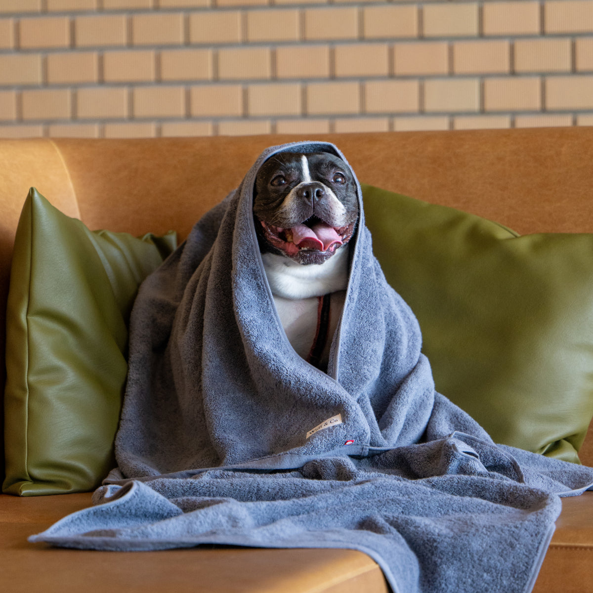 Dog Towel by Wuff&Co