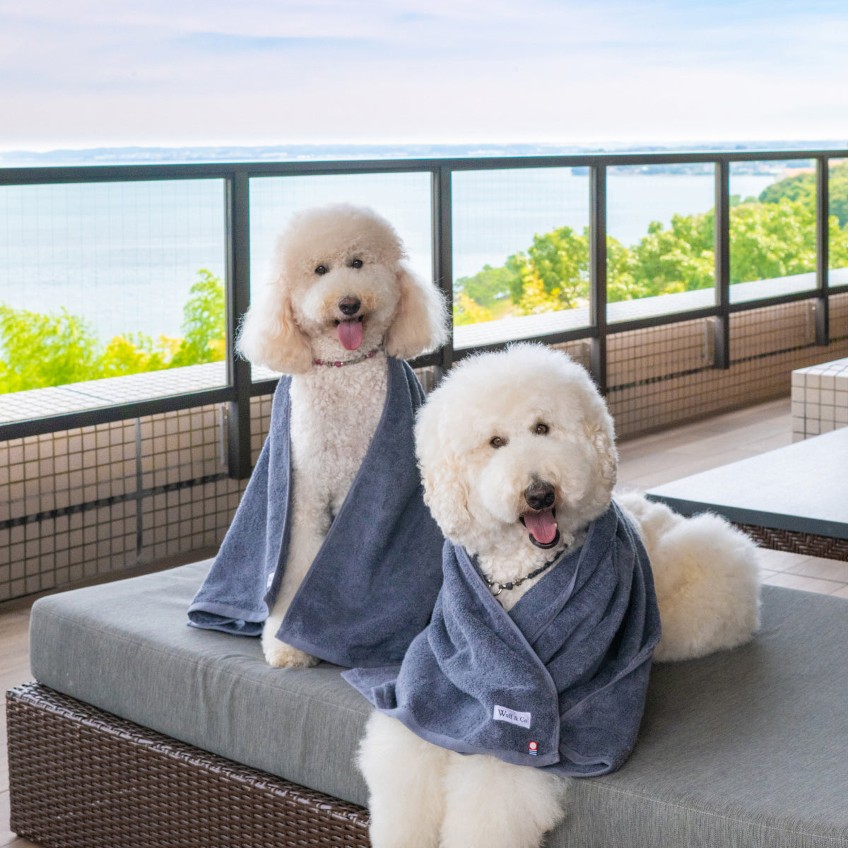 Dog Towel by Wuff&Co