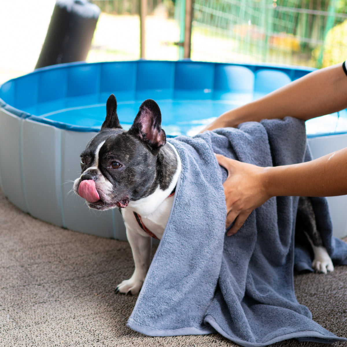 Dog Towel by Wuff&Co